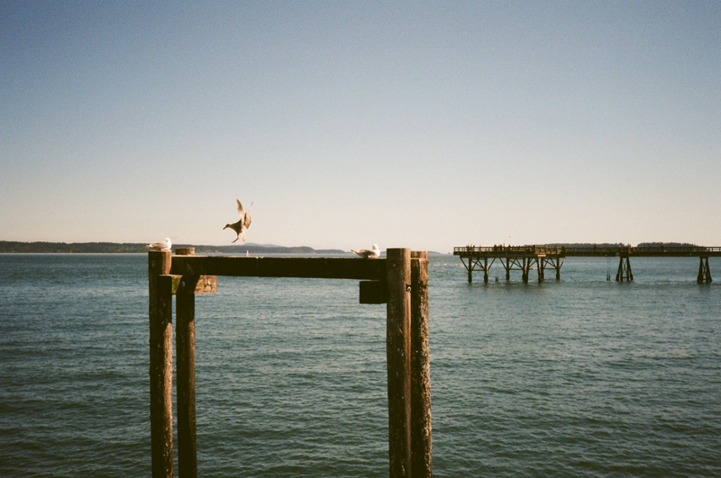 Illustration for article titled Photos from a recent weekend trip to Victoria